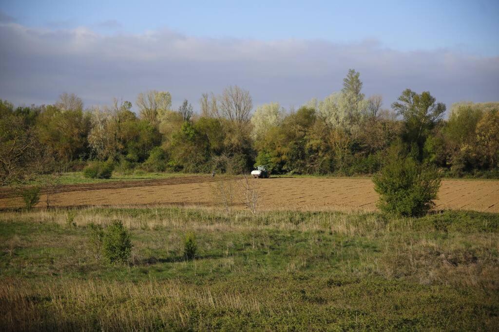 Domaine Villecarla Villedubert Extérieur photo