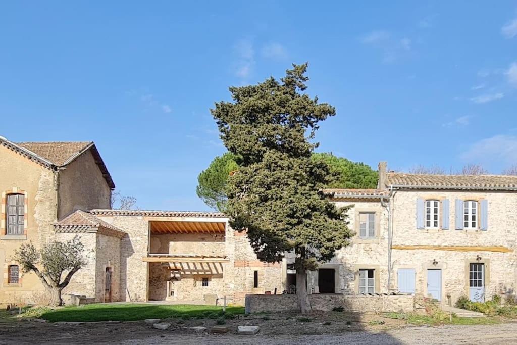 Domaine Villecarla Villedubert Extérieur photo