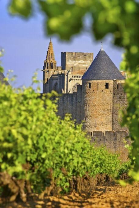 Domaine Villecarla Villedubert Extérieur photo
